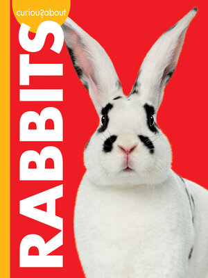 cover image of Curious about Rabbits
